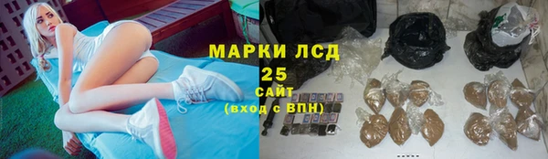 spice Аркадак