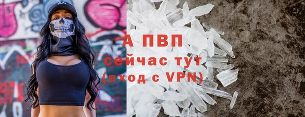 spice Аркадак
