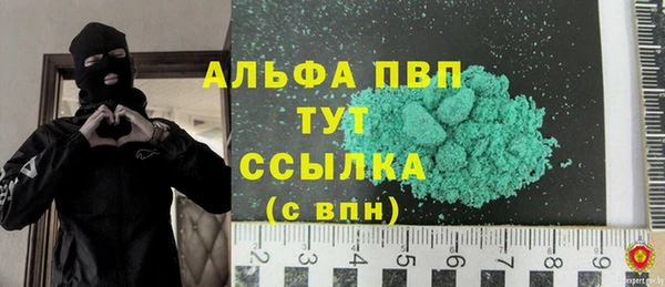 spice Аркадак