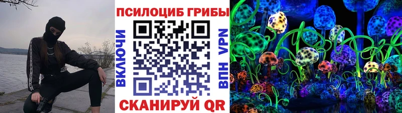 Галлюциногенные грибы Psilocybine cubensis  Спасск-Дальний 